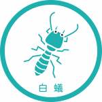 白蟻
