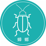 蟑螂