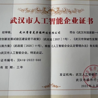 武汉市人工智能企业证书
