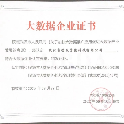 武汉市大数据企业证书