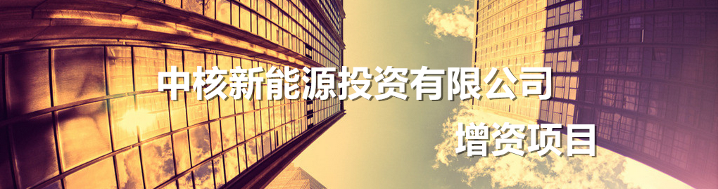 中核新能源