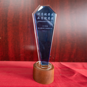 優(yōu)秀提案獎(jiǎng)