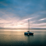 大海航行靠舵手，FONE将把财务数字化的航船带向何方？