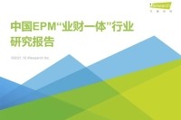 EPM业财一体报告