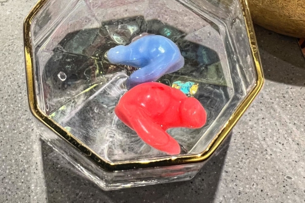 Earplugs for swimming