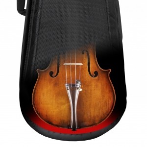 AA31-violin