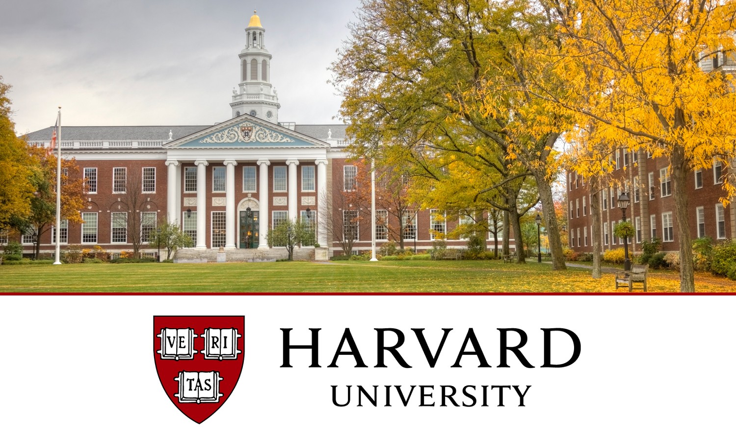 Harvard-Online-Course