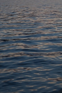 body of water during daytime 白天水体