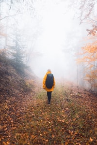 Nature fog autumn forest tree fall landscape person 自然雾秋季林木秋季景观人