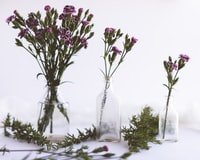pink flowers in clear glass vase 透明玻璃花瓶中的粉红色花朵
