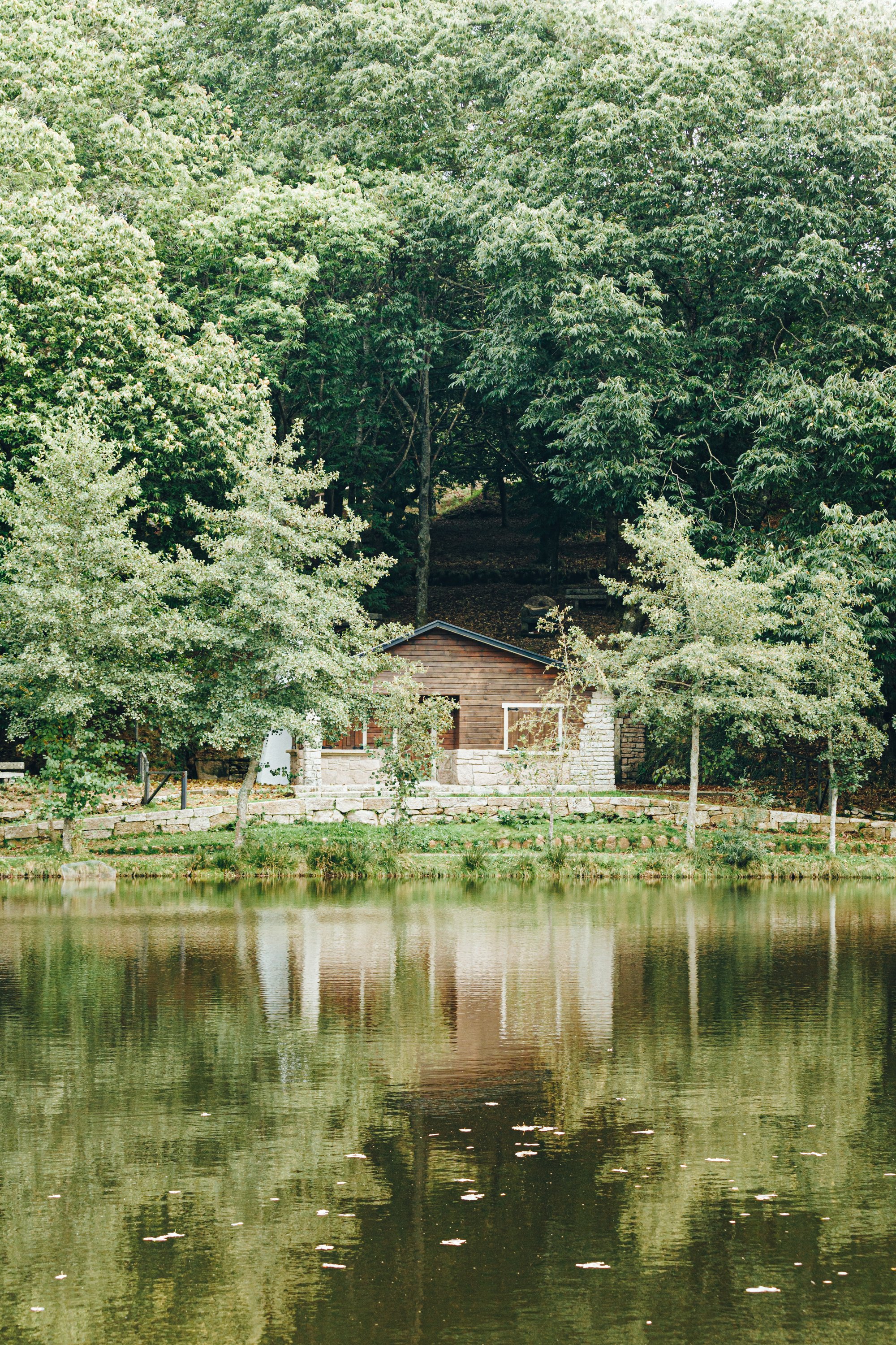 waterfront wood cabin surrounded by lush forest 滨水木屋被茂密的森林所包围