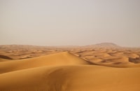 brown sand dunes during daytime 白天棕色沙丘