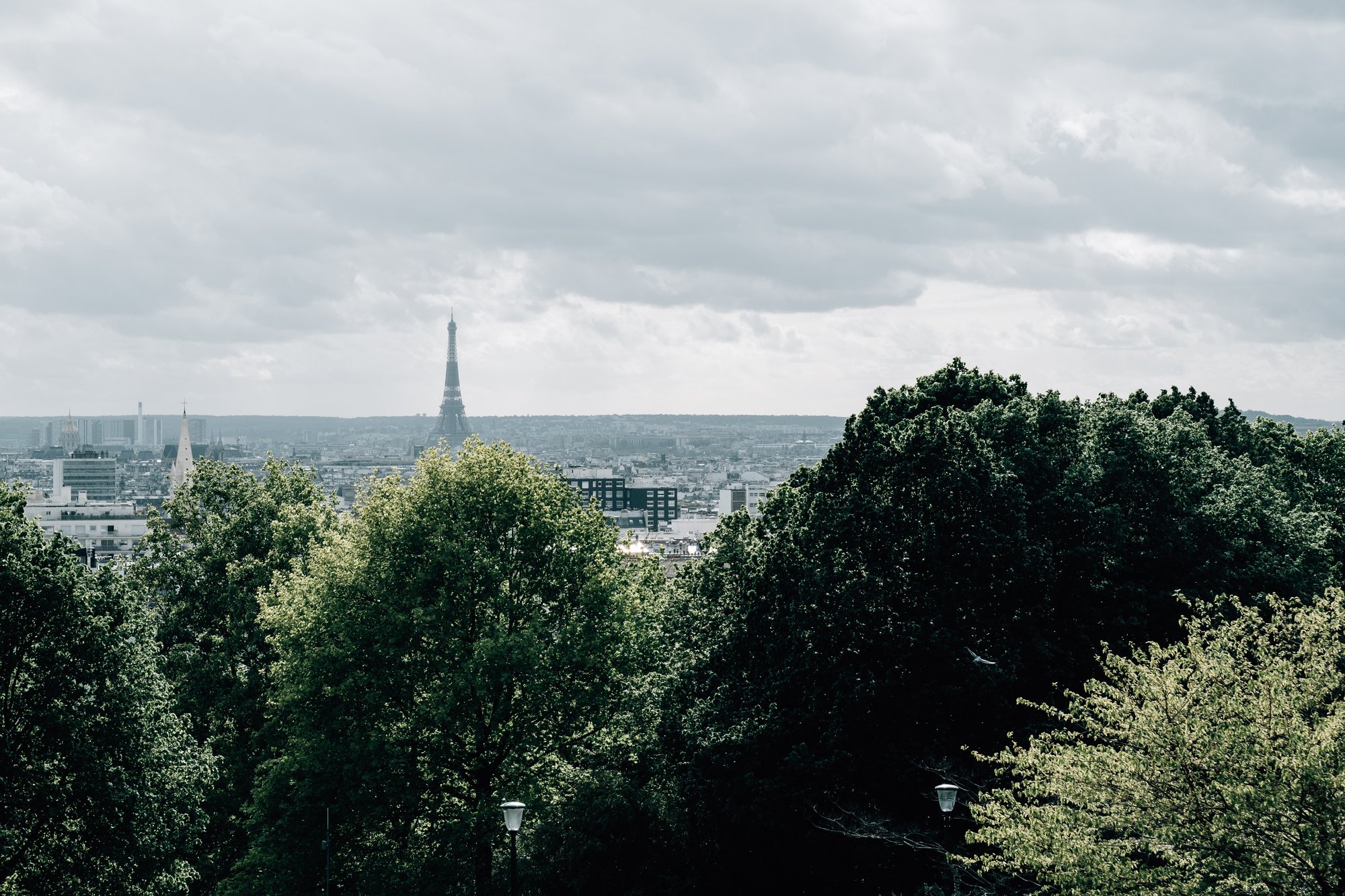 paris skyline with the eiffel tower on the horizon 巴黎地平线上有埃菲尔铁塔