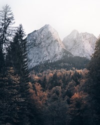 green trees near gray mountain during daytime 白天靠近灰山的绿树