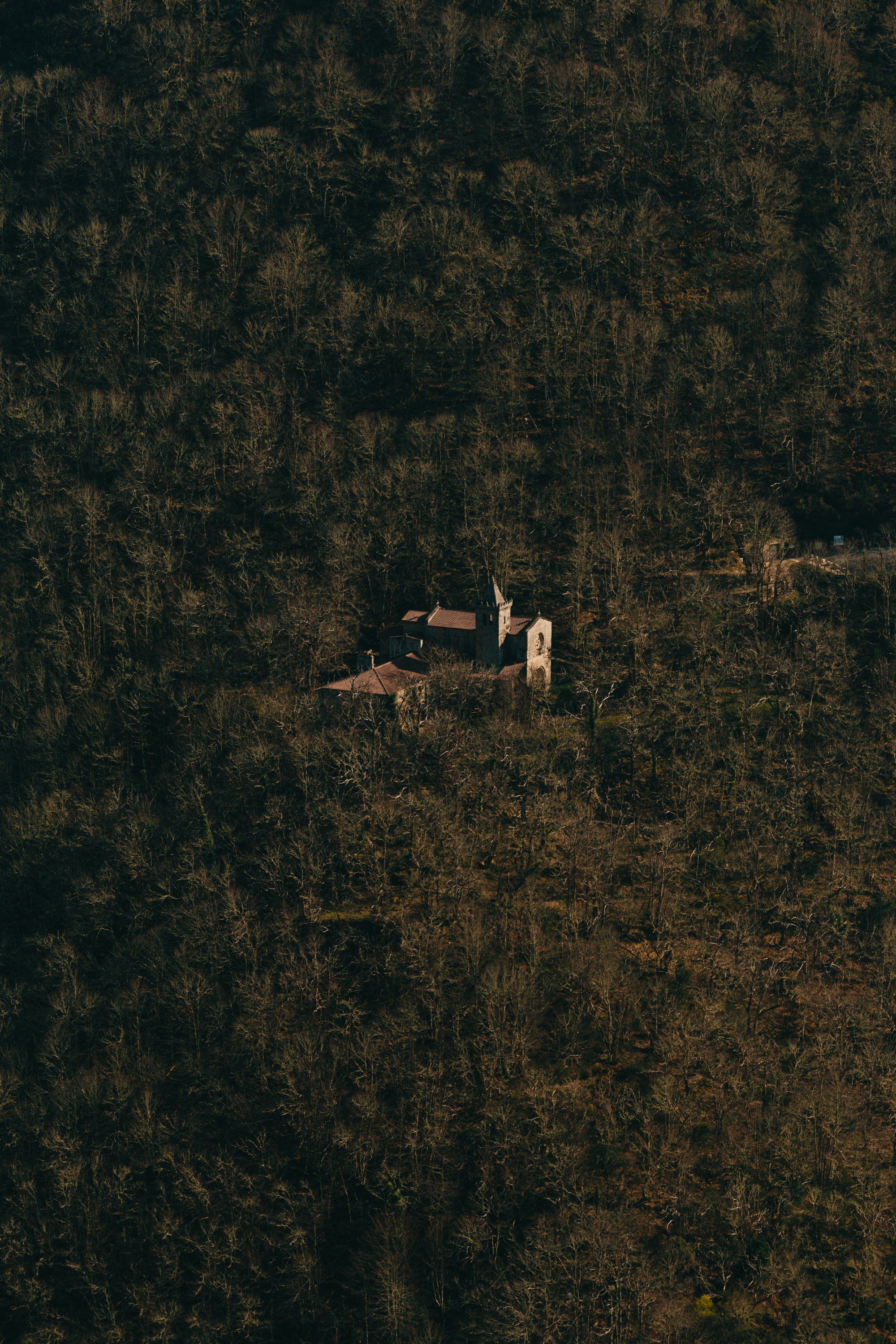 aerial photo of a building sitting within a dense forest 一座建筑在密林中的空中照片