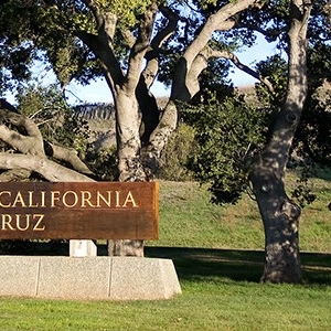 Main Entrance Sign_740x300
