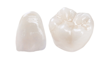 Healthy woman teeth