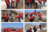 第九工会小组开展植树节志愿服务活动