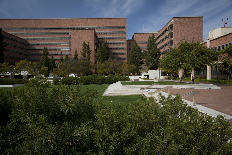 加州大学洛杉矶分校医学院