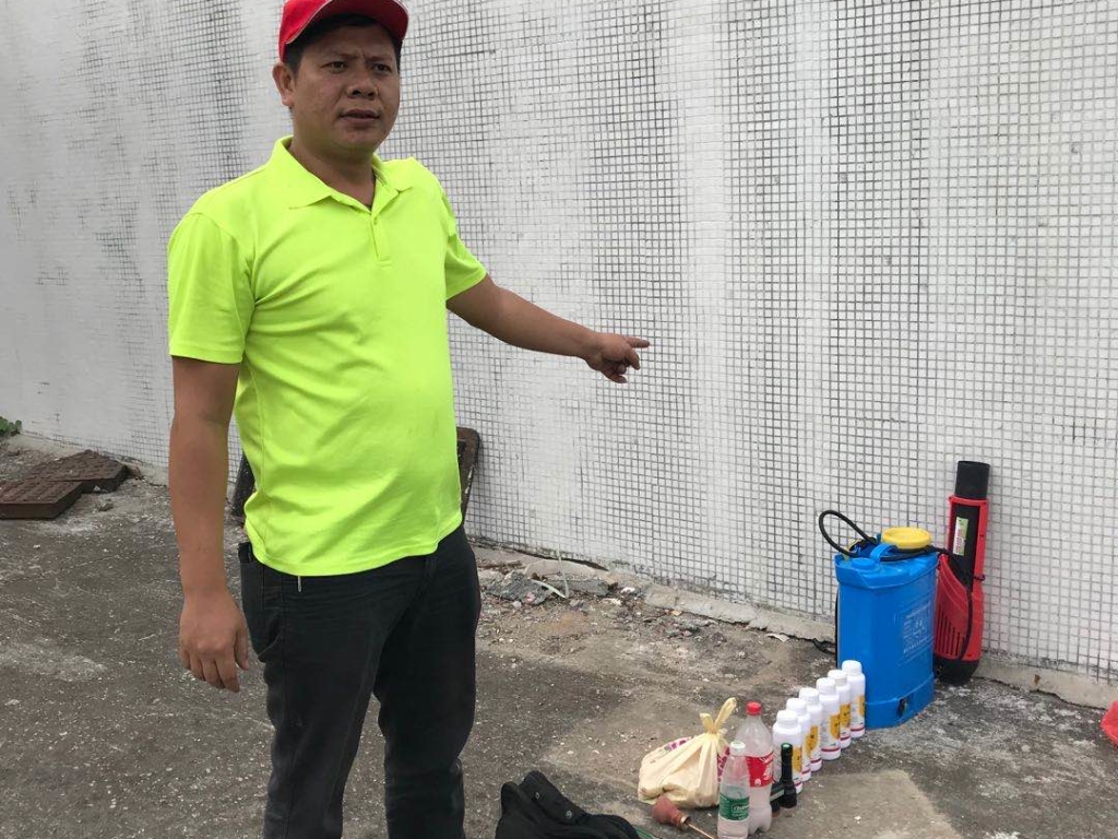 大橋除白蟻服務