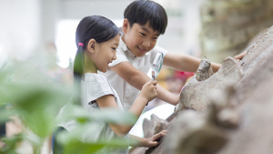 小学生一场让孩子主动学习的教学实验
