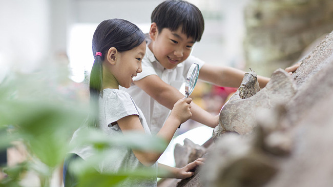 小学生一场让孩子主动学习的教学实验
