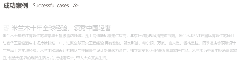 成功案例