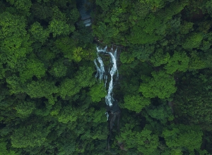 景區(qū)案例