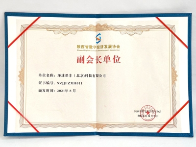 陕西省数字发展协会副会长