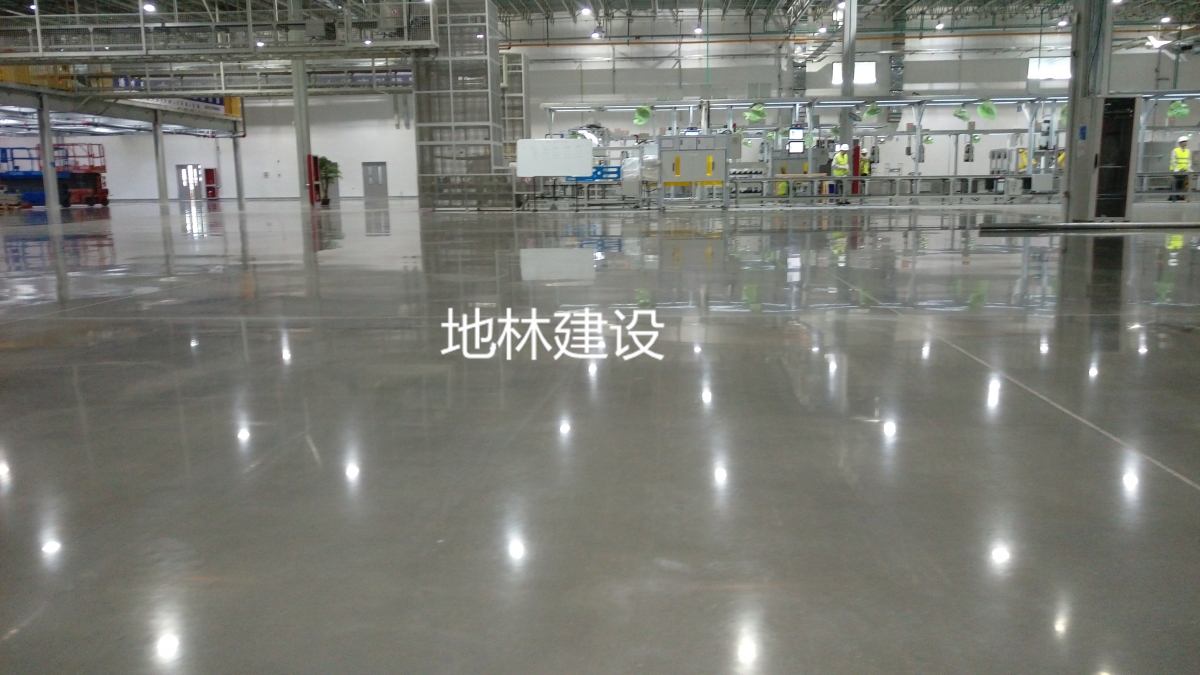 滄州岱摩斯2 (2)