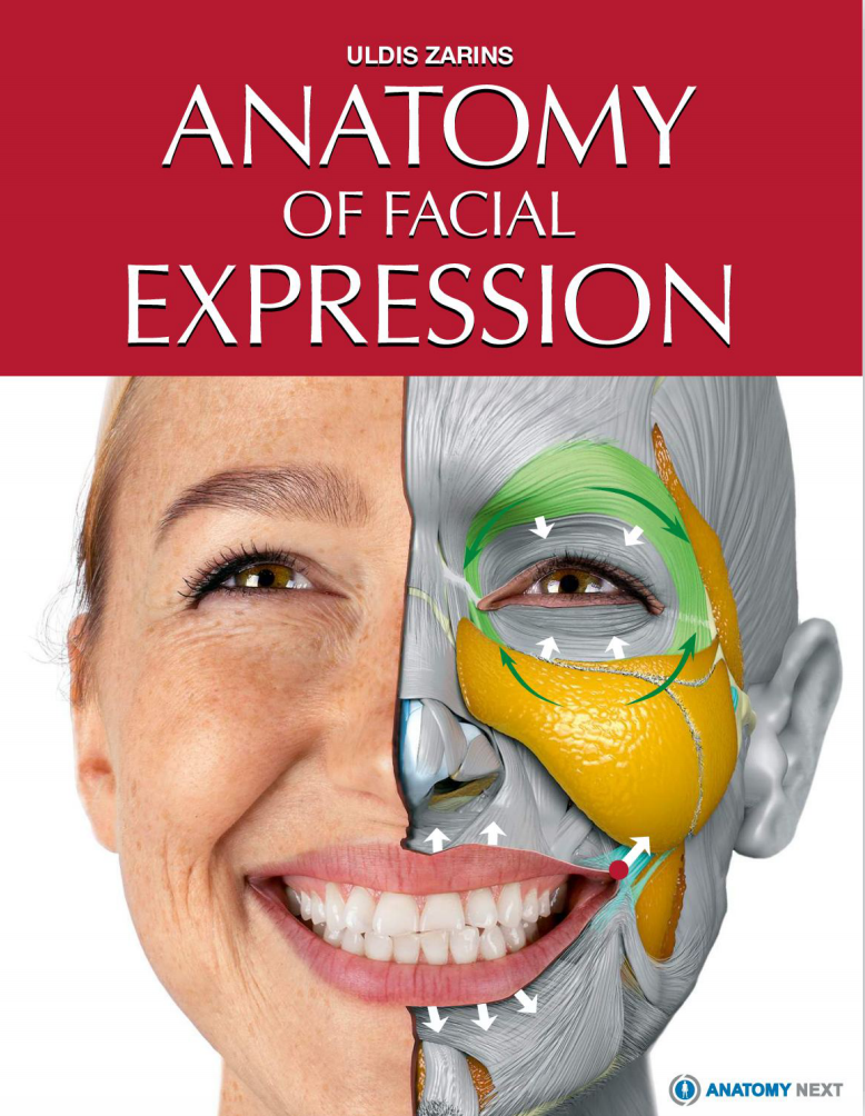 人体面部表情肌肉骨骼解剖学研究书籍pdf