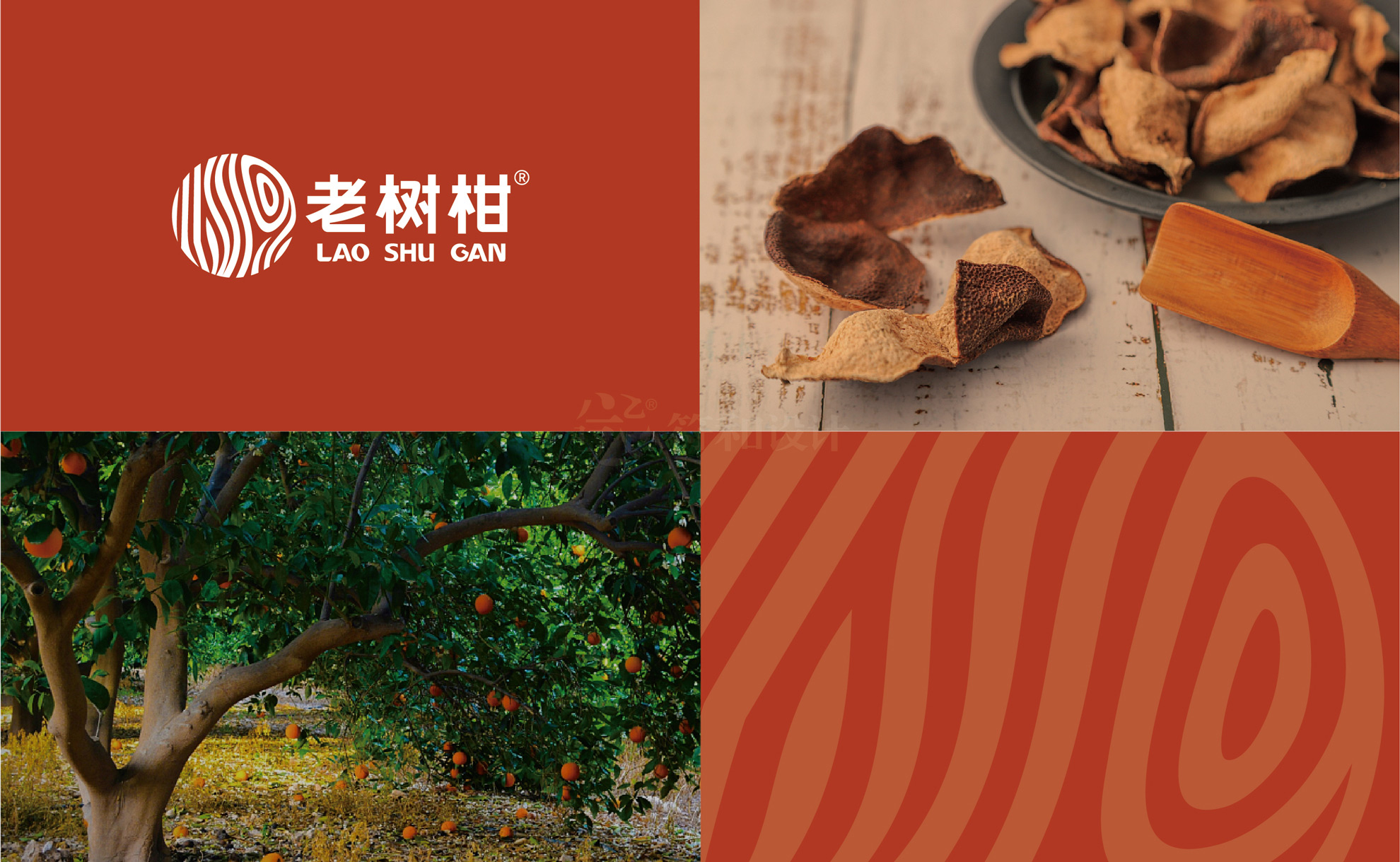 老树柑logo最终方案20210413-08