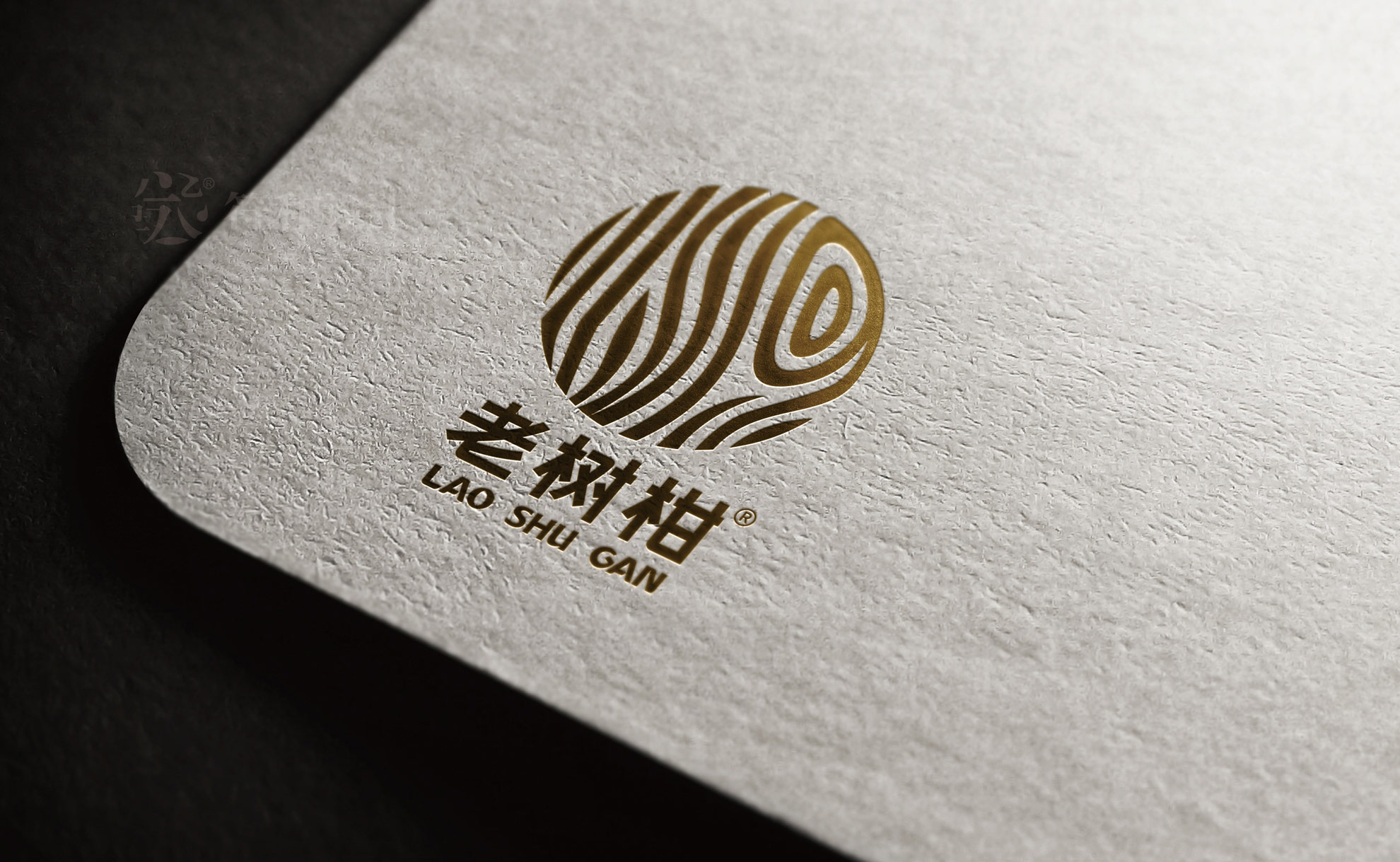 老树柑logo最终方案20210413-13