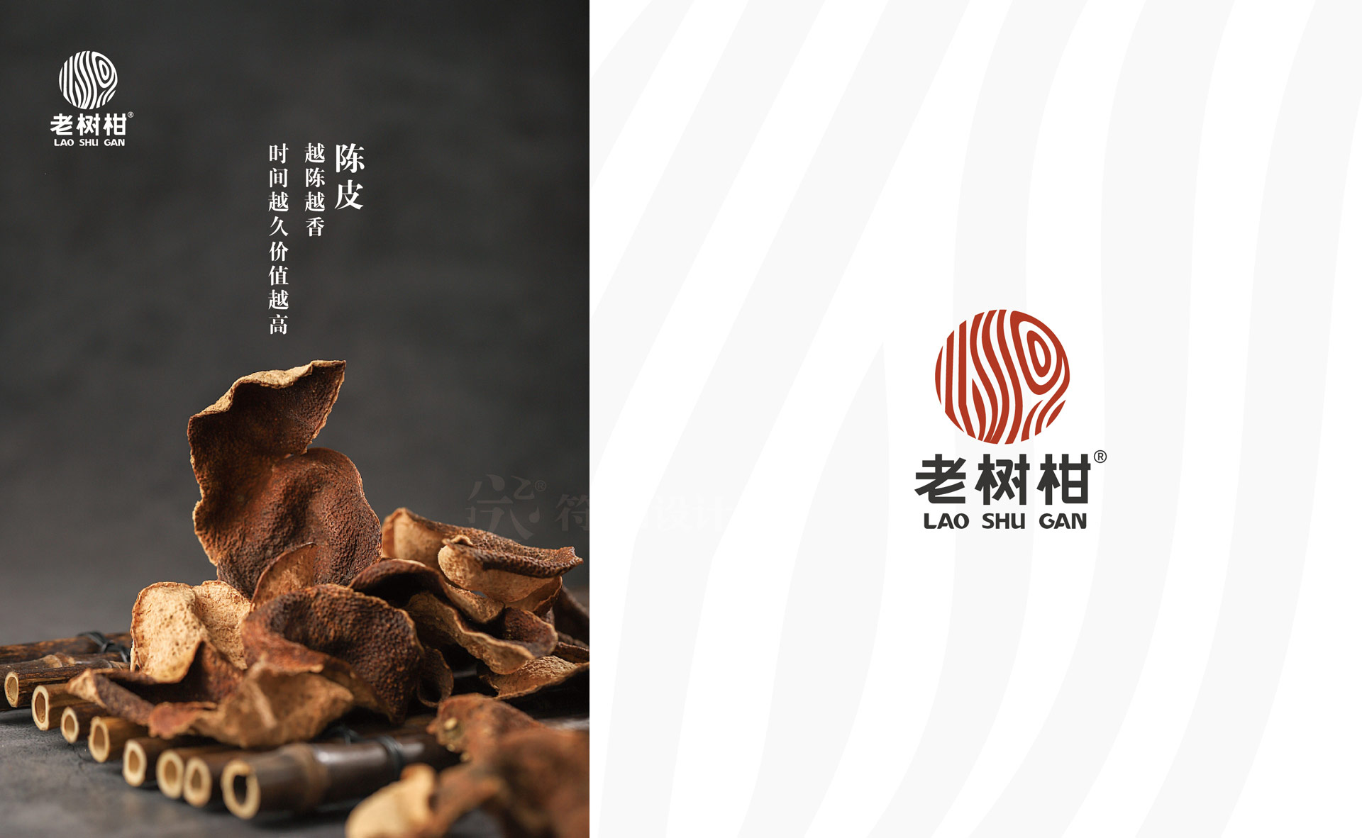 老樹柑logo最終方案20210413-11