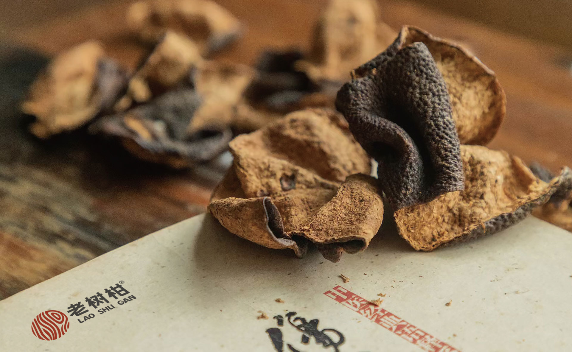 老樹柑logo最終方案20210413-17