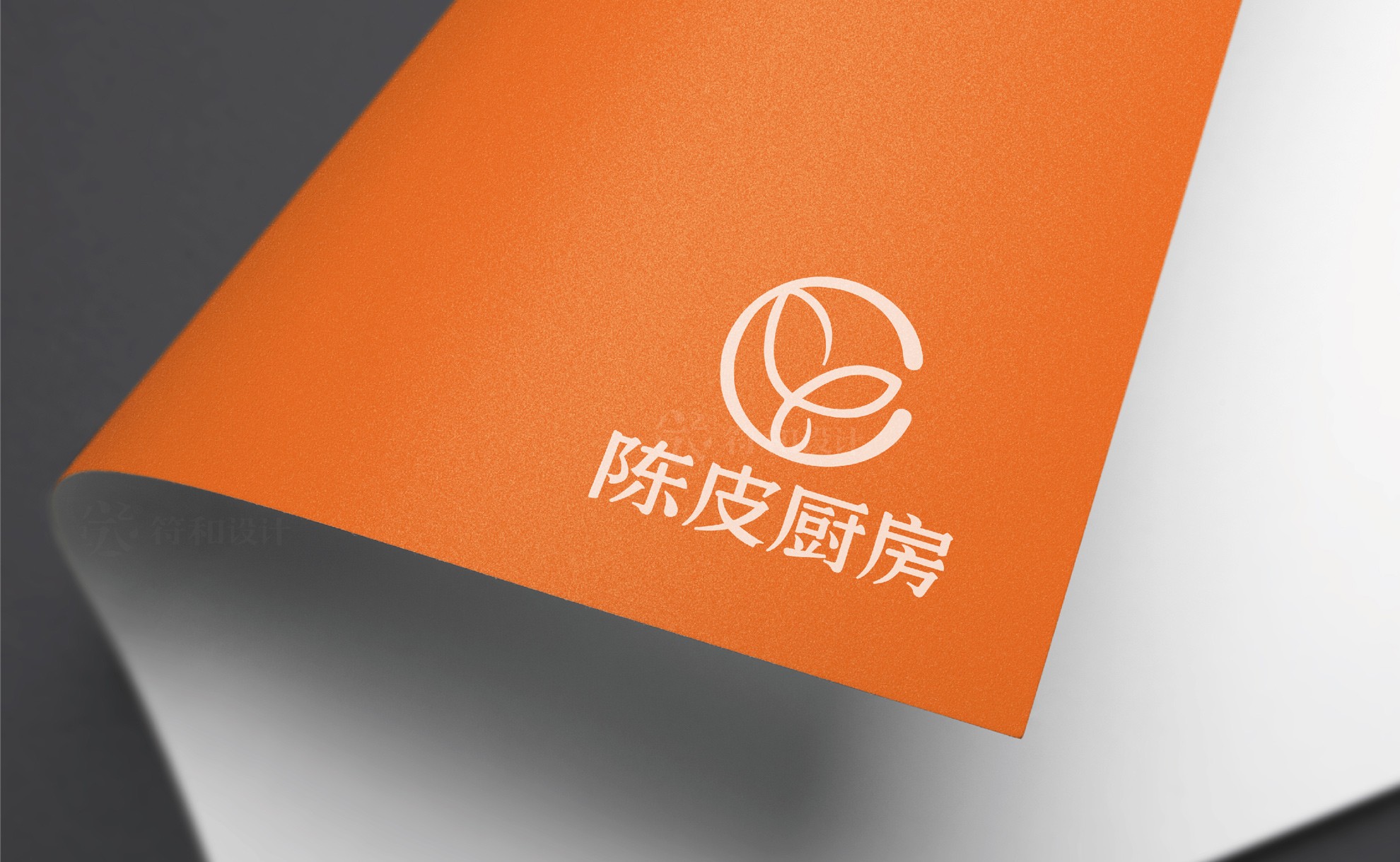 陳皮廚房標(biāo)志設(shè)計20220804（最后稿）發(fā)客戶文件-10