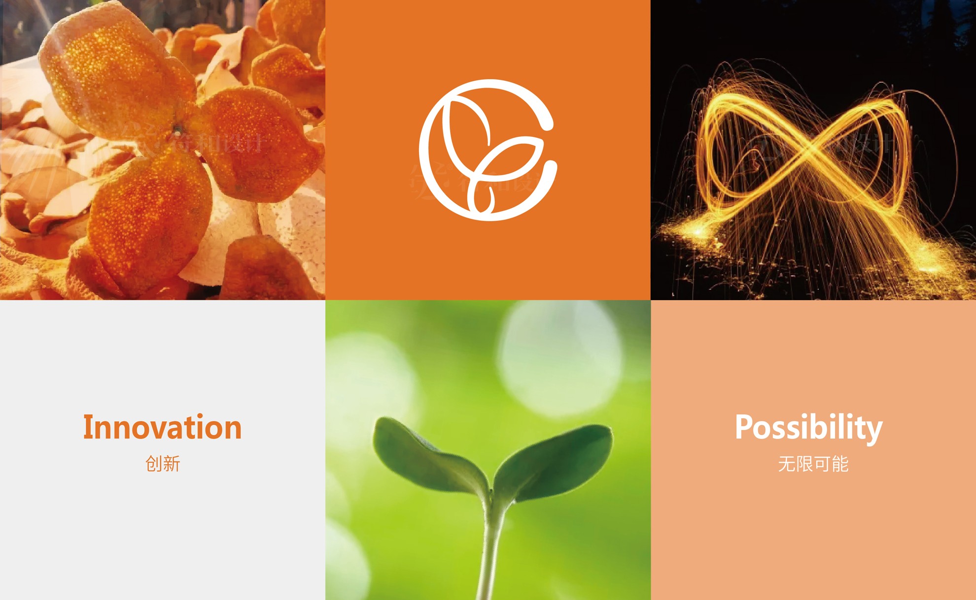 陳皮廚房標(biāo)志設(shè)計20220804（最后稿）發(fā)客戶文件-06