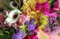 IMG_27131-540x540