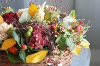 IMG_2692-540x540