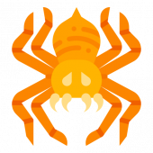 animals 动物
