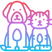animal kingdom 动物王国
