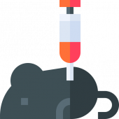 Animal testing 动物试验