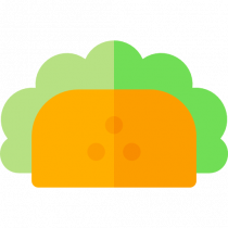 Download Taco for free 免费下载塔科