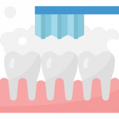 Download Tooth Cleaning for free 免费下载清洁牙齿