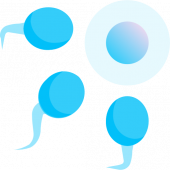 Download Sperm for free 免费下载精子
