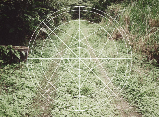 ForestMap