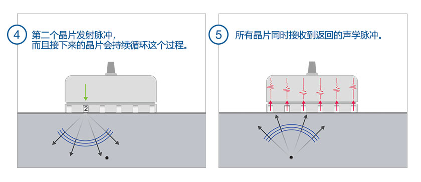 （4）第二個晶片在全矩陣捕獲（FMC）序列中發射脈沖。（5）所有探頭晶片接收到返回的信號。