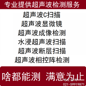 水浸超聲波C掃描檢測(cè)服務(wù)超聲顯微鏡斷層掃描成像檢測(cè)UT C-SAM