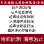 水浸超聲波檢測系統C掃描服務超聲顯微鏡斷層掃描成像檢測UT CSAM