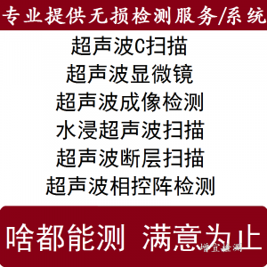 水浸超聲波檢測系統(tǒng)C掃描服務(wù)超聲顯微鏡斷層掃描成像檢測UT CSAM